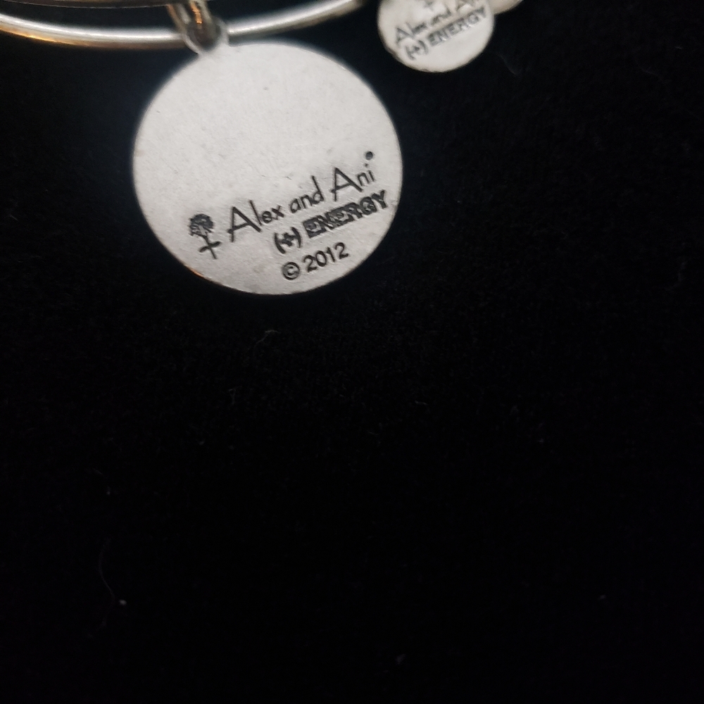 Alex and Ani Rafaelian Silver Delta Phi Epsilon 2012 - Picture 5 of 8